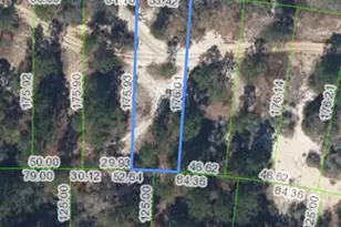 731 County Rd 29, Lake Placid, FL 33852 - Photo 2