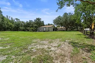 32137 Wolf Branch Ln, Sorrento, FL 32776 - Photo 72