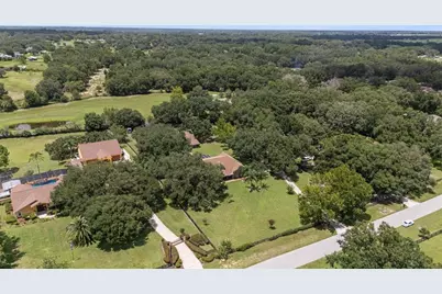 32137 Wolf Branch Lane, Sorrento, FL 32776 - Photo 86