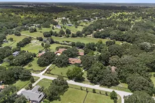 32137 Wolf Branch Ln, Sorrento, FL 32776 - Photo 86