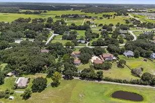 32137 Wolf Branch Ln, Sorrento, FL 32776 - Photo 92