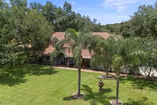 32137 Wolf Branch Ln, Sorrento, FL 32776 - Photo 6