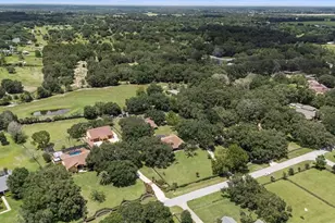 32137 Wolf Branch Ln, Sorrento, FL 32776 - Photo 74