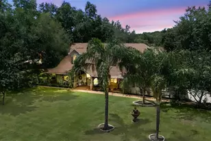 32137 Wolf Branch Ln, Sorrento, FL 32776 - Photo 6