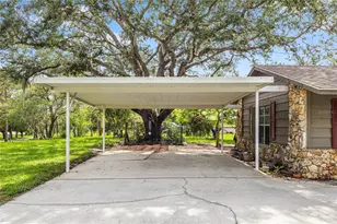 17877 Phil C Peters Rd, Winter Garden, FL 34787 - Photo 6