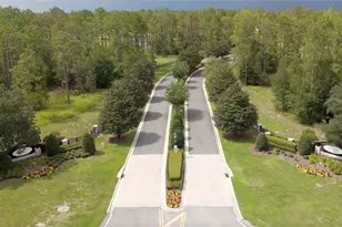 24148 Deep Springs Loop, Eustis, FL 32736 - Photo 1