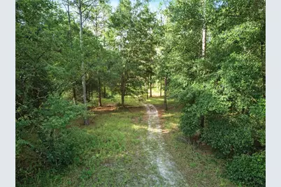 24148 Deep Springs Loop, Eustis, FL 32736 - Photo 6