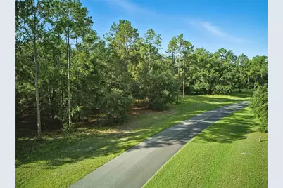 24148 Deep Springs Loop, Eustis, FL 32736 - Photo 8