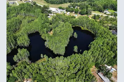 19832 Westwood Lane, Land O Lakes, FL 34638 - Photo 8