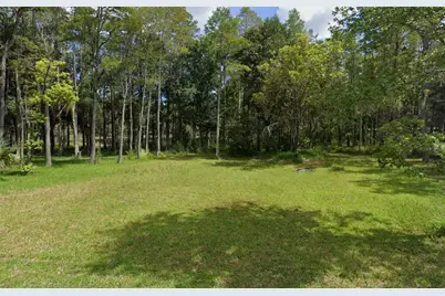 19832 Westwood Lane, Land O Lakes, FL 34638 - Photo 2