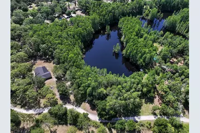 19832 Westwood Lane, Land O Lakes, FL 34638 - Photo 4