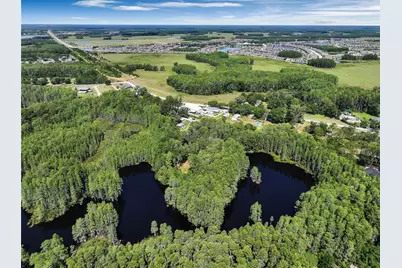 19832 Westwood Lane, Land O Lakes, FL 34638 - Photo 16