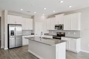 7113 Dilly Lake Ave, Groveland, FL 34736 - Photo 8