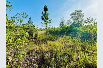 0 Shakedown Street, Saint Cloud, FL 34773 - Photo 4