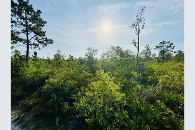 0 Shakedown Street, Saint Cloud, FL 34773 - Photo 8