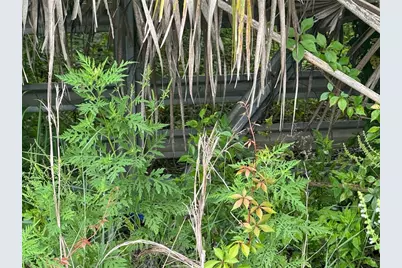 4026 N Orange Blossom Trail, Mount Dora, FL 32757 - Photo 4