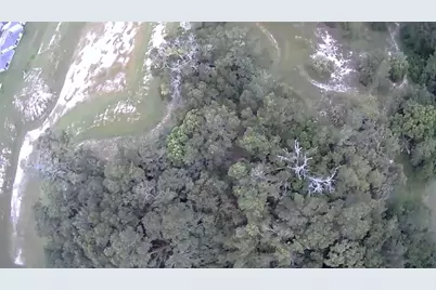 4026 N Orange Blossom Trail, Mount Dora, FL 32757 - Photo 6