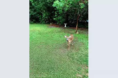 2380 Shepherd Avenue, Saint Cloud, FL 34771 - Photo 14