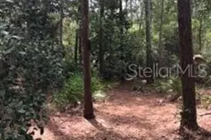 2380 Shepherd Ave, Saint Cloud, FL 34771 - Photo 20