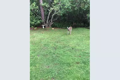 2380 Shepherd Avenue, Saint Cloud, FL 34771 - Photo 12