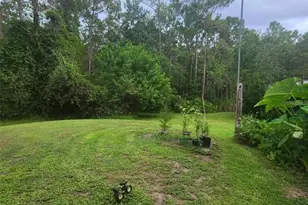 2380 Shepherd Ave, Saint Cloud, FL 34771 - Photo 6