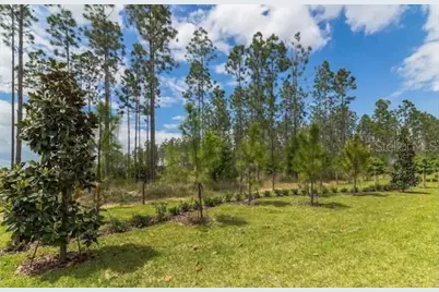 880 Pebble Beach Drive, Davenport, FL 33896 - Photo 32