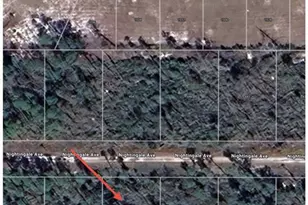 455 Nightingale Ave, Sebring, FL 33870 - Photo 8