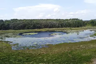 23637 State Road 19, Howey in the Hills, FL 34737 - Photo 10