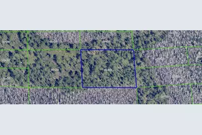 Dill Road, Orlando, FL 32820 - Photo 2