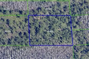 Dill Rd, Orlando, FL 32820 - Photo 2