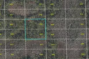 Dill Rd, Orlando, FL 32820 - Photo 1