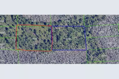 Dill Road, Orlando, FL 32820 - Photo 6