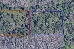 Dill Rd, Orlando, FL 32820 - Photo 6