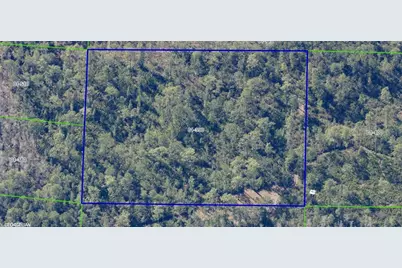 Dill Road, Orlando, FL 32820 - Photo 4