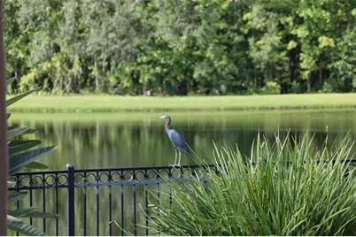 102 Acadia Terrace, Celebration, FL 34747 - Photo 34