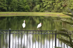 102 Acadia Terrace, Celebration, FL 34747 - Photo 32