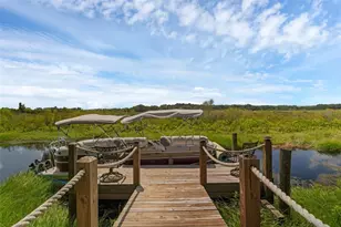 1133 Whitewater Bay Dr, Groveland, FL 34736 - Photo 46