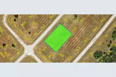 13038 & 13044 Gouramis Lane, Placida, FL 33946 - Photo 4
