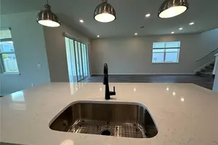 10355 Parkview Reserve Ln, Orlando, FL 32836 - Photo 12