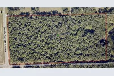 No Street, Lake Helen, FL 32744 - Photo 6