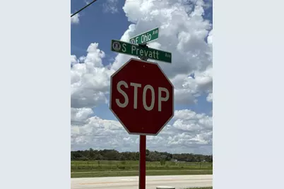 No Street, Lake Helen, FL 32744 - Photo 4