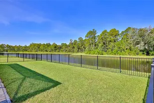 236 Caryota Ct, New Smyrna Beach, FL 32168 - Photo 26