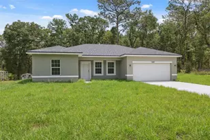 10089 N Athenia Dr, Citrus Springs, FL 34434 - Photo 1