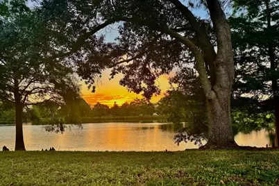 2213 Oldfield Drive, Orlando, FL 32837 - Photo 8