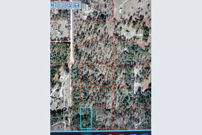 0 SE 120 Avenue, Morriston, FL 32668 - Photo 2