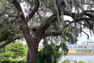 320 Lakeview St, Orlando, FL 32804 - Photo 16