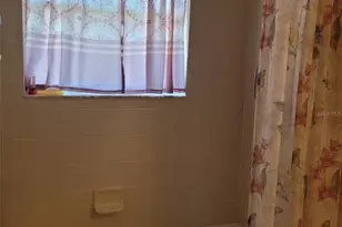 169 Big Black Dr, Kissimmee, FL 34759 - Photo 22