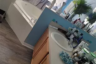 169 Big Black Dr, Kissimmee, FL 34759 - Photo 28