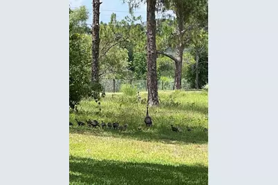5526 Tiny Road, Winter Garden, FL 34787 - Photo 36