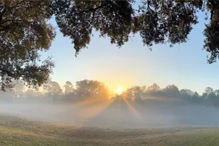 5526 Tiny Rd, Winter Garden, FL 34787 - Photo 34